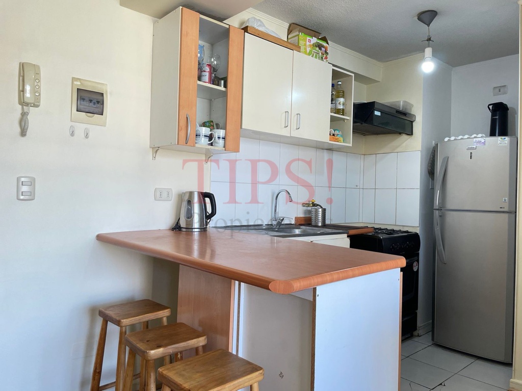 TIPSPROPIEDADES VENDE DEPARTAMENTO EN SANTA ELENA 1722, SANTIAGO