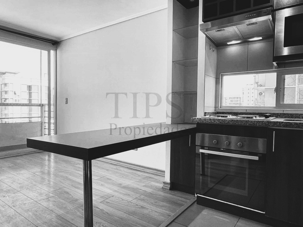 TIPSPROPIEDADES ARRIENDA DEPARTAMENTO EN LIRA 399, SANTIAGO