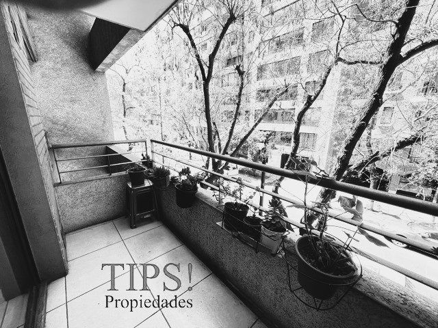 TIPSPROPIEDADES ARRIENDA DEPARTAMENTO EN JOSÉ MIGUEL CARRERA 437, SANTIAGO