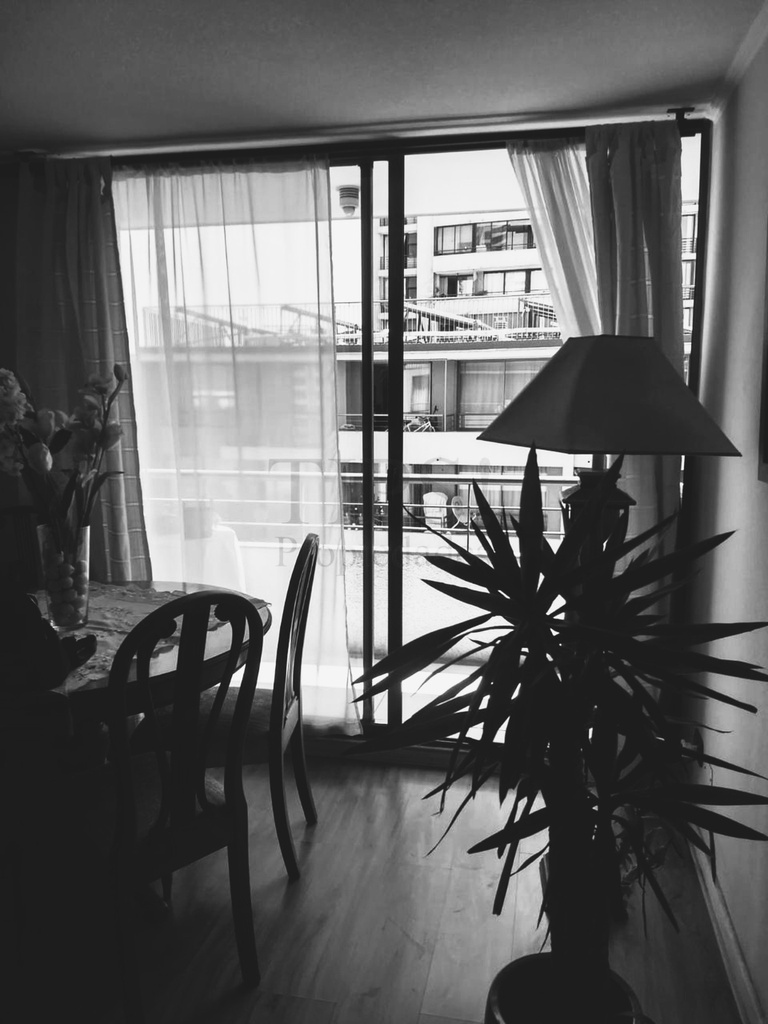 DEPARTAMENTO EN VERGARA 726, SANTIAGO