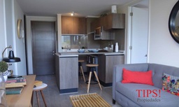 TIPSPROPIEDADES ARRIENDA DEPARTAMENTO EN DOMEYKO 1999, SANTIAGO